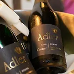 호텔 Adler 그로테르탈