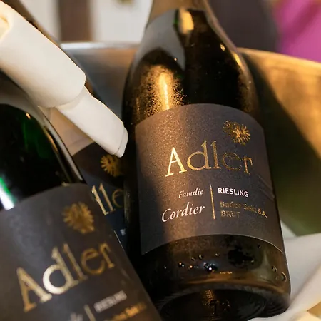 Hotell Adler Glottertal