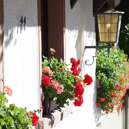 Adler Hotell Glottertal