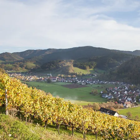 Adler Glottertal