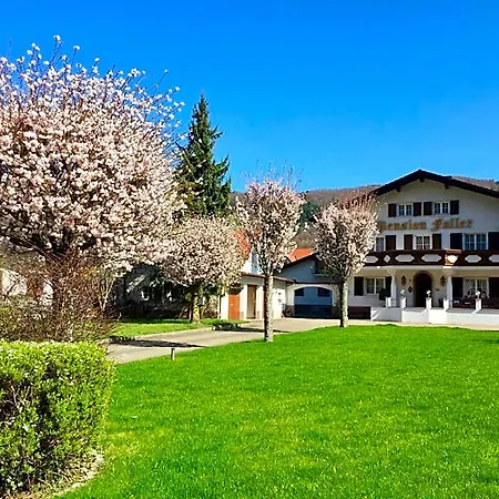 Hotel Adler 3*