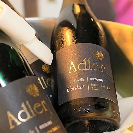 Adler Hotel