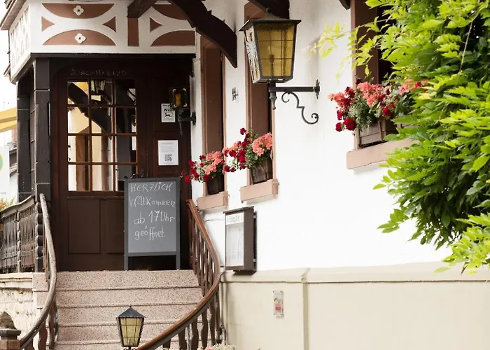 Adler גלוטרטל