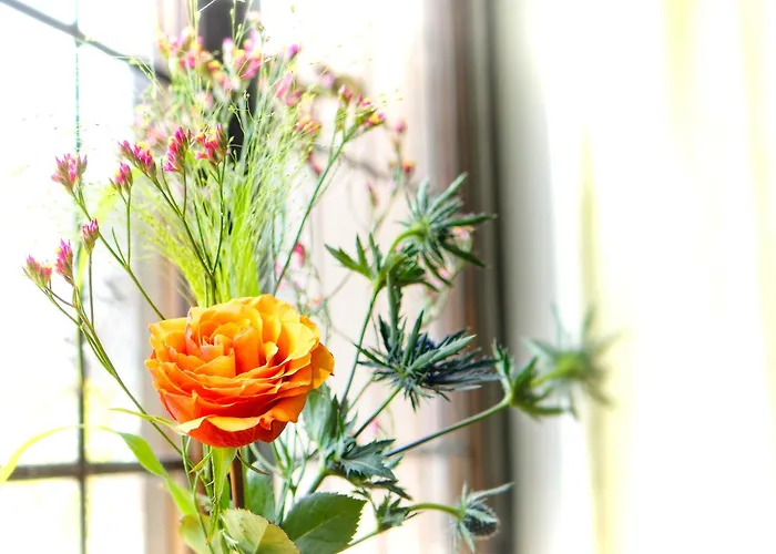 מלון Adler גלוטרטל