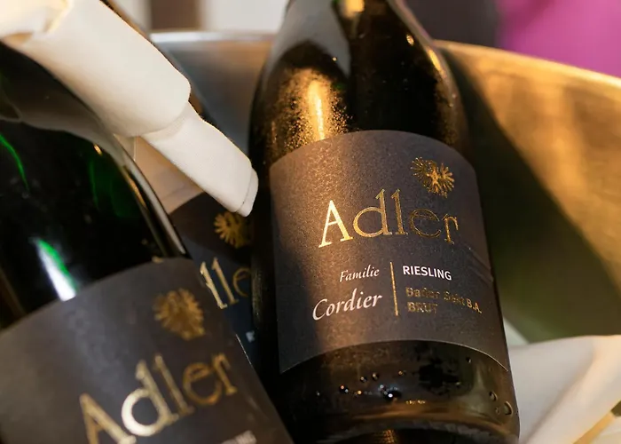 מלון Adler גלוטרטל