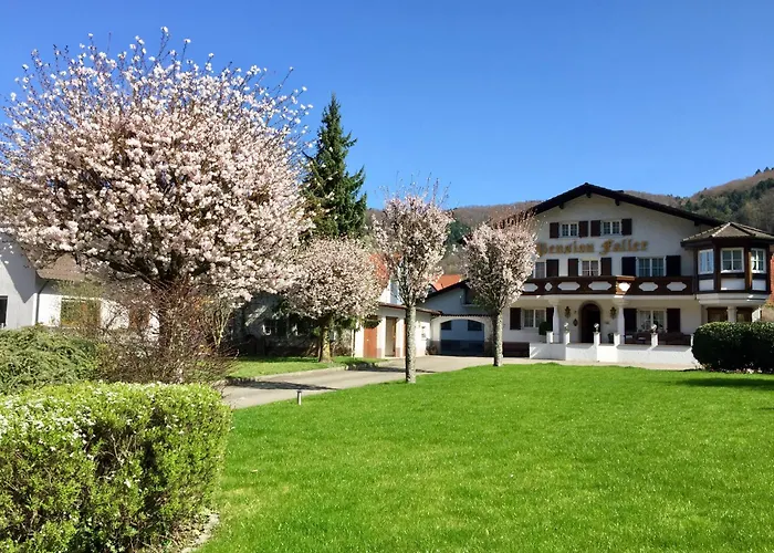 Adler גלוטרטל