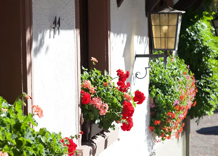 Adler מלון גלוטרטל