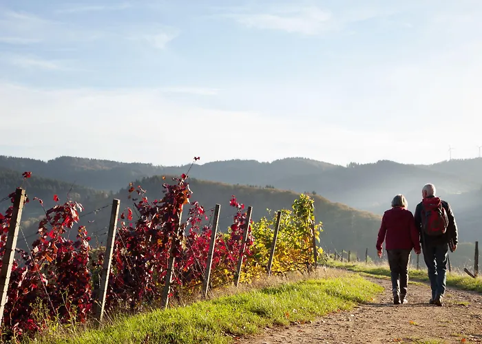 Adler 3* גלוטרטל