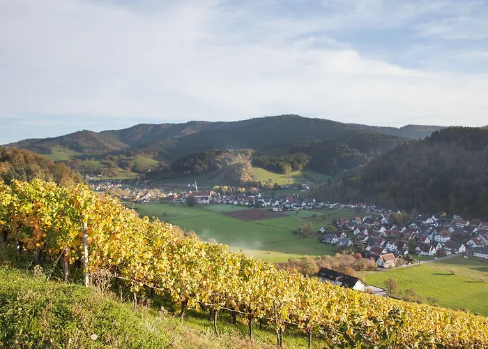 Adler גלוטרטל