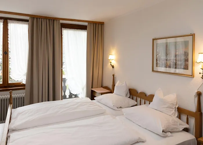 Adler 3* גלוטרטל