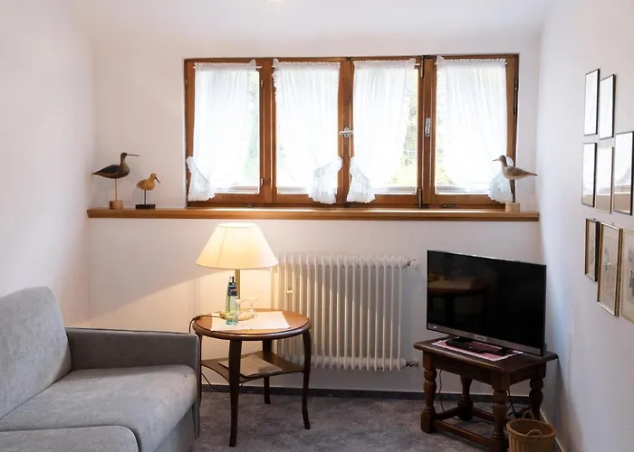 מלון Adler גלוטרטל